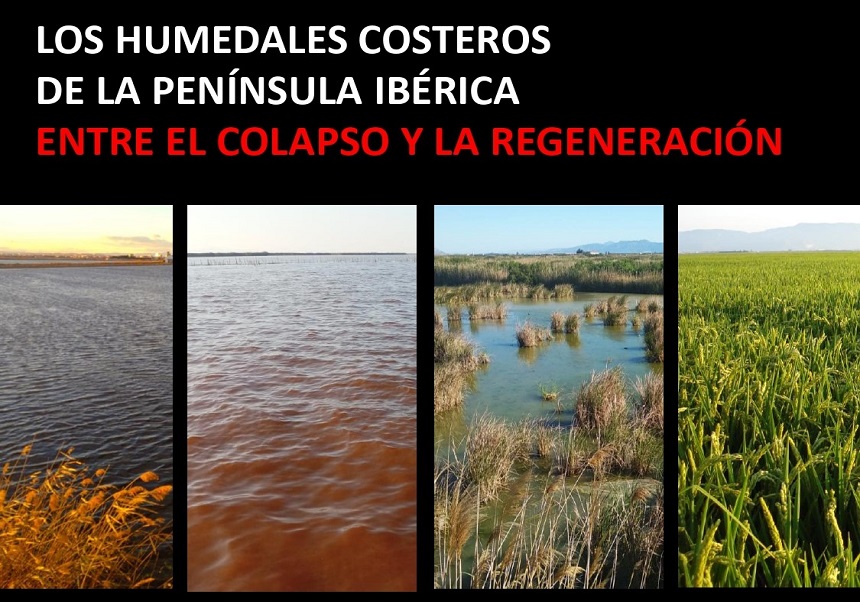 cartell
